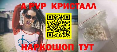 амф Гусев