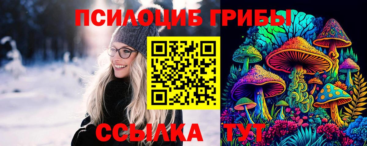 Мегион  Псилоцибиновые грибы прущие грибы  Вход с VPN  Псилоцибиновые грибы ЛСД 